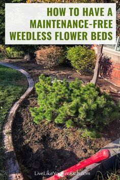 Creating A Flower Bed Front Yards, Outside Flower Beds Front Yards, Flowerbeds Front Of House Simple, Flowerbed Ideas Backyard, Rock Garden Flower Beds, Border Flower Bed Ideas, Edgeless Flower Beds, Maintenance Free Flower Bed, Edged Flower Beds