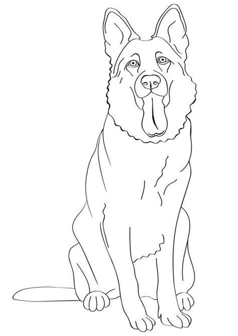 German Shepherd Colors, Ras Anjing, Dog Coloring Book, Puppy Coloring Pages, Dogs Breeds, Dog Coloring Page, Best Dog Training, Dog Training Obedience, Shepherd Puppies