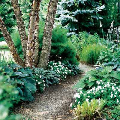 7 Steps to Creating a Backyard from Scratch - This Old House Wooded Backyard Landscape, Woods Garden, Woodland Gardens, Wooded Landscaping, Forest Garden, Backyard Living, Woodland Garden, Garden Path, Garden In The Woods