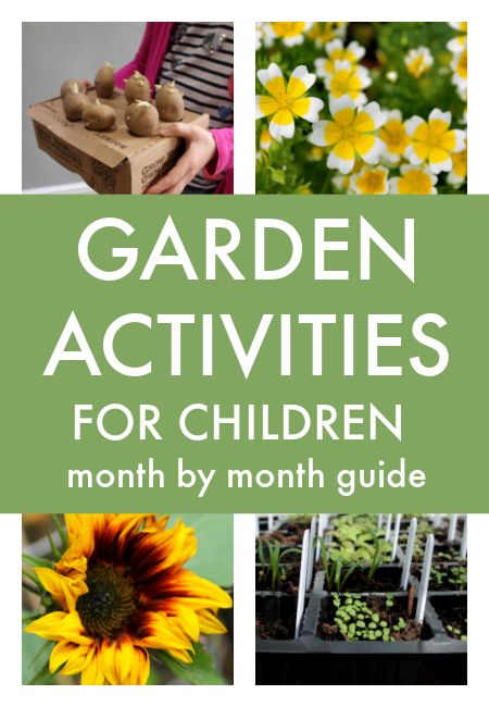 Kids Gardening Activities, Waldorf Garden, School Garden Club, Gardening Kids Activities, Garden Classroom, Gardening Activities, August Garden, Kids Gardening, Preschool Garden