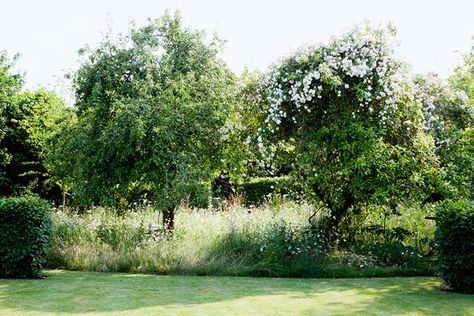 Country Garden Design Ideas for Farmhouse and Cottage gardens ... Apple Tree Garden Design, Rambling Roses, Country Garden Design, Orchard Garden, English Country Garden, Planting Design, Wild Flower Meadow, South Downs, Meadow Garden