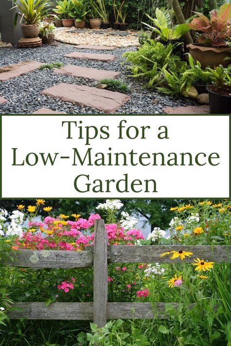 No Work Garden, Garden Maintenance Tips, Low Maintenance Garden Ideas, Garden Wedding Guest, Deco Garden, Garden Planning Layout, Landscape Curbing, Lawn Alternatives, Garden Flower Beds