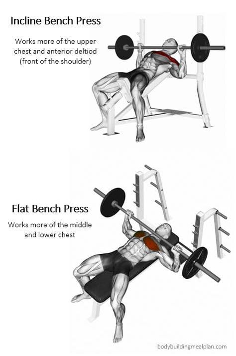 Flat Barbell Bench Press, Dumbell Incline Bench Press, Incline Barbell Bench Press, Incline Press Workout, Bench Press Variations, Flat Bench Dumbbell Press, Incline Bench Press Form, How To Do Bench Press, Inclined Chest Press