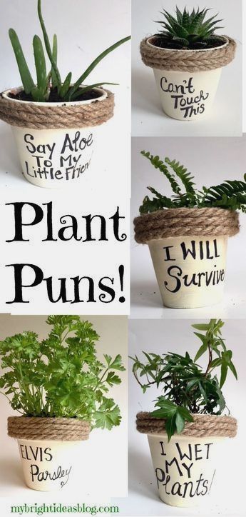 Garden Diy Decoration Ideas, Parsley Plant, I Will Survive, Smile Gift, Plant Puns, Presente Diy, Painted Terracotta, Painted Flower Pots, Bathroom Plants