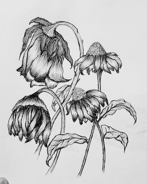 Decaying Flowers Drawing, Withered Flowers Drawing, Skeleton Flower Drawing, Withering Flower Drawing, Droopy Flowers Drawing, Falling Flowers Drawing, Wilted Flowers Tattoo, Wilting Flowers Drawing, Flower Field Drawing Pencil