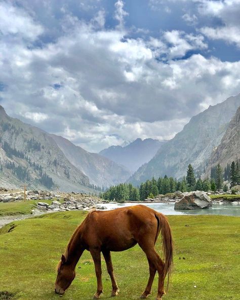 The Mahodand Lake is being swarmed by tourists and Known for its freezing water and abundance of trout fish, the lake is located in the… Mahodand Lake, Freezing Water, Trout Fish, Islamic Republic, South Asia, Countries Of The World, Pakistan, Places To Visit, Frozen