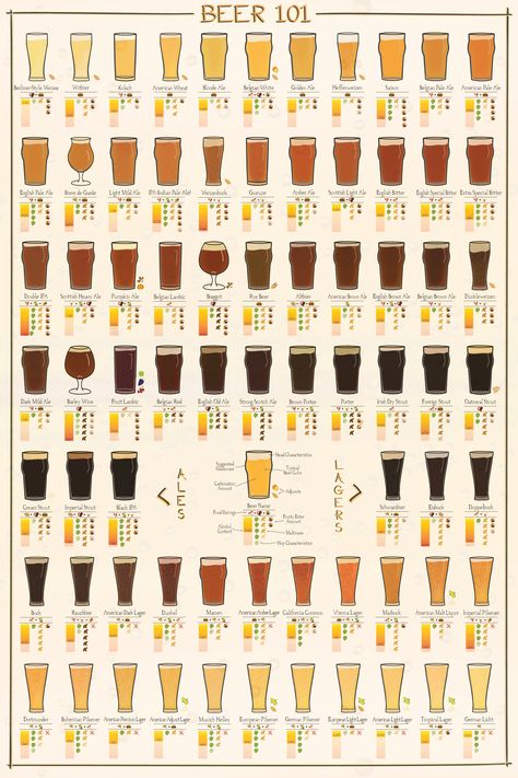 Guide to Beers Beer Calories, Beer Facts, Beer Guide, Types Of Beer, Beer 101, Beer Making, Brewing Beer, Beer Poster, All Beer