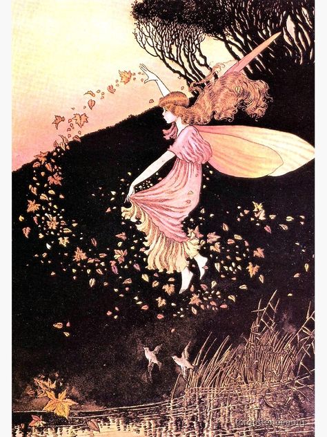 Ida Rentoul Outhwaite, Witches Dance, Fairy Drawings, Autumn Fairy, Elves And Fairies, Cute Fairy, Forest Creatures, Magical Art, Fantasy Paintings