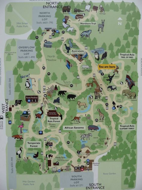 Woodland Park Zoo Map Aquarium Inspiration, Zoo Inspiration, Zoo Map, Zoo Project, Seattle Trip, Woodland Park Zoo, Zoo Architecture, Zoo Ideas, Architecture Portfolio Layout