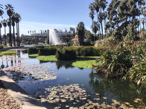 Echo Park Los Angeles, Echo Park Lake, Park Wallpaper, Visit Los Angeles, Los Angeles Skyline, Los Angeles Real Estate, Mount Washington, City Of Angels, California Love