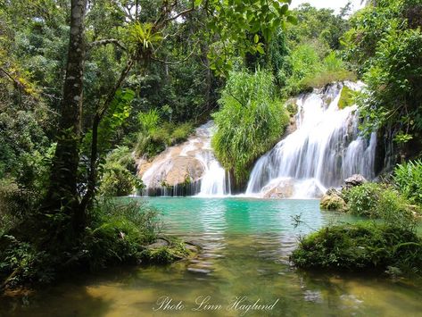 El Nicho waterfalls are breathtaking and an incredible nature experience you must have on your trip in Cuba. Find out all you need to know to get there. Cuba Nature, Incredible Nature, Cancelled Flight, Life Straw, Cuba Travel, Swimming Holes, Travel Inspo, Travel Insurance, Key West