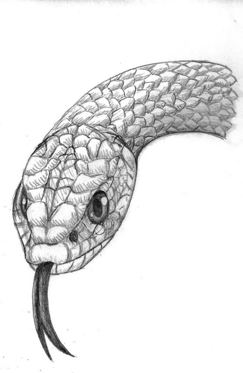 Snake Sketch, Drawings With Meaning, Fish Sketch, Snake Drawing, Stippling Art, A Level Art Sketchbook, Snake Head, Drawing Heads, Drawing Course