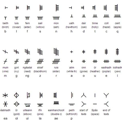 Ogham, The Ancient Irish "Tree" Alphabet Ogham Tattoo, Tree Alphabet, Celtic Ogham, Celtic Symbols And Meanings, Celtic Alphabet, Ogham Alphabet, Ancient Irish, Ancient Alphabets, Irish Symbols