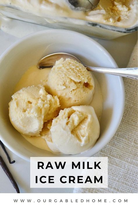 3 scoops of homemade raw milk ice cream in a bowl Beginner Homesteading, Family Cow, Healthy Homemade Snacks, Paleo Friendly Recipes, Grain Free Desserts, Vanilla Ice Cream Recipe, Modern Homesteading, Scratch Recipes, Paleo Recipes Dessert