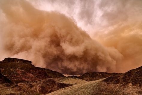 wind-words-haboob  Deriving from Arabic, Haboob refers to a violent dust storm or sandstorm. The word originally applied to such storms in Sudan, but has since expanded to cover similar storms in other desert regions. Desert Witch, Fire Whirl, Sand Storm, Strange Weather, Storm Front, Dust Storm, Thunder And Lightning, Snow Storm, Visual Effects