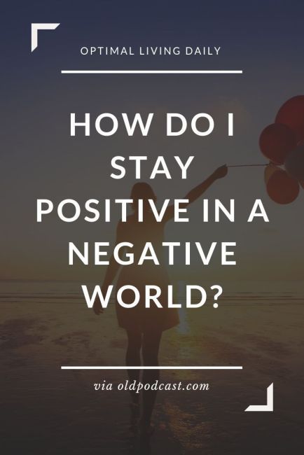 Expert tips on how to stay positive in a negative environment. Learn how a positive mindset is key and how to build these positive habits. How To Stay Positive, Positive Habits, Stay Positive, Positive And Negative, Staying Positive, Positive Mindset, How To Build, Personal Development, Blog Posts