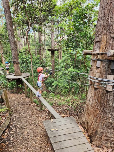 We loved visiting the Treetops High Ropes course in Coffs Harbour, NSW. 

A high ropes adventure is the perfect way to have more quality time with family, create lasting memories with kids and have more fun!

Click throuhg to the article to read all the tips you need to know about visiting a high ropes adventure course with kids. Backyard Ropes Course, High Ropes Course, Coffs Harbour, Farm School, Church Camp, Ropes Course, Visit Australia, Easy Kids, Family Adventure