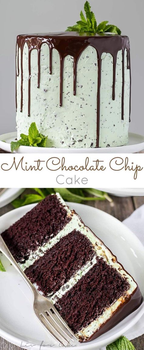 This Mint Chocolate Chip Cake is a mint lover's dream! Layers of decadent chocolate cake topped with a silky mint chip buttercream. | livforcake.com Mint Chocolate Chip Cake, Chocolate Chip Cake Recipe, Mint Chocolate Cake, Chocolate Chip Cake, Decadent Chocolate Cake, Mint Chocolate Chip, Moist Chocolate Cake, Mint Chocolate Chips, Cupcake Cake