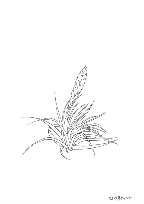 Bromeliad Tattoo, Air Plant Tattoo, Tillandsia Air Plant, Plant Tattoo, Hidden Garden, Tattoo Inspo, Lotus Flower Tattoo, Air Plants, Maple Leaf Tattoo