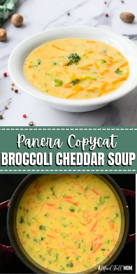 Craving the comforting flavors of Panera’s Broccoli Cheddar Soup? Save time and calories with this homemade version! Packed with tender broccoli, sharp cheddar, and a creamy, flavorful broth, this one-pot soup is ready in under 30 minutes. Perfect for a quick weeknight dinner or cozy lunch, it's a simple, satisfying dish the whole family will love. Panera’s Broccoli Cheddar Soup, Panera Broccoli And Cheddar Soup, Broccoli Cheddar Soup Instapot, Paneras Broccoli Cheddar Soup, Panera Broccoli And Cheese Soup Copycat, Broccoli Cheese Soup With Cream Cheese, Crockpot Broccoli Cheddar Soup Panera, Panama Broccoli Cheese Soup, Brócoli And Cheddar Soup