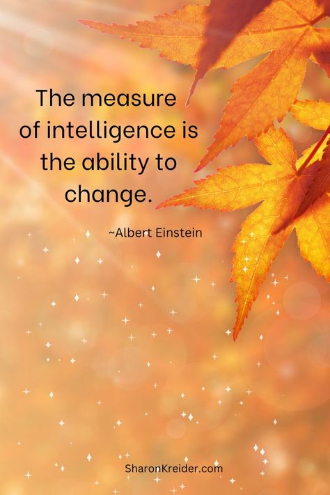 Cute Inspirational Quotes, Albert Einstein Quotes, Abraham Hicks Quotes, Einstein Quotes, Spiritual Messages, Autumn Quotes, Good Morning Inspirational Quotes, Words Worth, Morning Inspirational Quotes