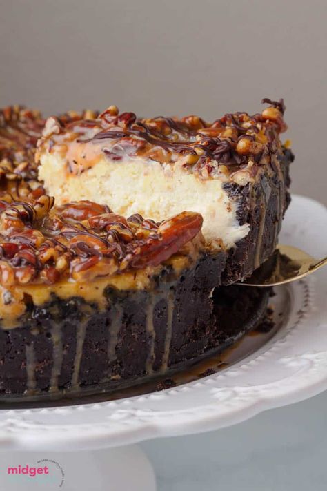 Turtle Dessert, Best Cheesecake Recipes, Turtle Cheesecake Recipes, Caramel Dessert Recipes, The Best Cheesecake, Turtle Cheesecake, Chocolate Recipes Easy, Oreo Cookie Crust, Cake Base