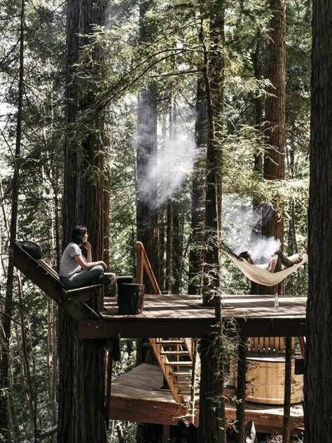 Photo 2 of 19 in This DIY Couple Craft a Tiny Cabin in the Santa Cruz Mountains for Less Than $35K - Dwell Diy Couples Crafts, Tree Deck, Couple Crafts, Diy Couple, Santa Cruz Mountains, Tree House Designs, Tiny Cabin, Have Inspiration, Cabin Life