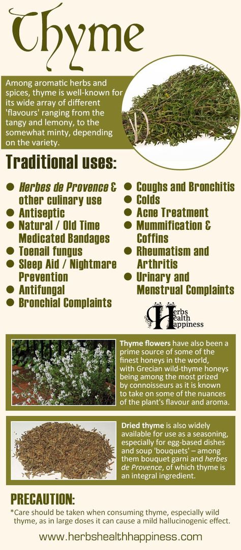 Thyme Benefits Of Thyme, Thyme Uses, Thyme Flower, Thyme Oil, Plant Book, Healing Plants, Herbs De Provence, Culinary Herbs, Cough Remedies