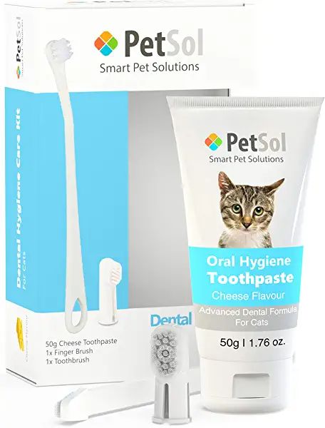 Cat Toothpaste, Tooth Health, Cat Supplements, Animals Love, Hygiene Care, Teeth Health, Cats Love, Care Kit, Dental Hygiene