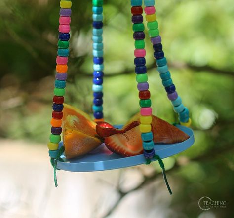 Homeschooling Toddlers, Spring Science Activities, Outdoor Science, Butterfly Feeders, Spring Science, Butterfly Feeder, Butterflies Activities, Bugs Preschool, Easy Butterfly