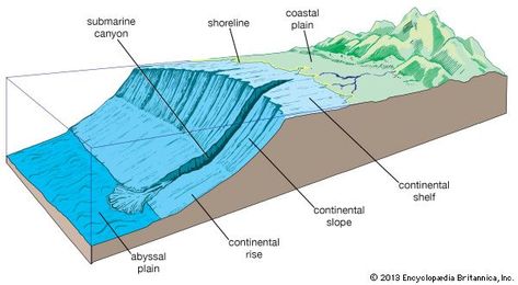 continental margin Ocean Definition, Oceanic Ridge, Encyclopedia Britannica, Continental Shelf, Lesson Plan Template Free, Ocean Science, Kids Homework, National Geographic Kids, Southern Ocean