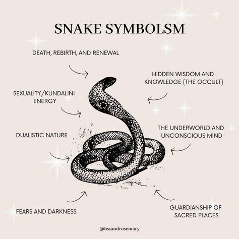 Animal Tattoo Meanings, Snake Symbolism, Astrology Wallpaper, Spirit Animal Meaning, Sejarah Kuno, Animal Spirit Guides, Witch Spirituality, Wiccan Spell Book, Magick Book