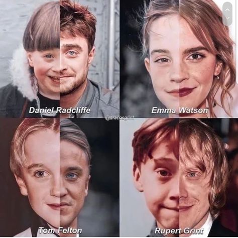 #I love Harry potter # Draco malfoy #hermione granger #Ron weasly #harry potter Draco Malfoy Hermione Granger, Daniel Radcliffe Emma Watson, Harry Hermione Ron, Harry Potter Draco, Ron And Harry, Harry Potter Parody, Harry Potter Ron Weasley, Funny Harry Potter Jokes, Harry Potter Hermione Granger