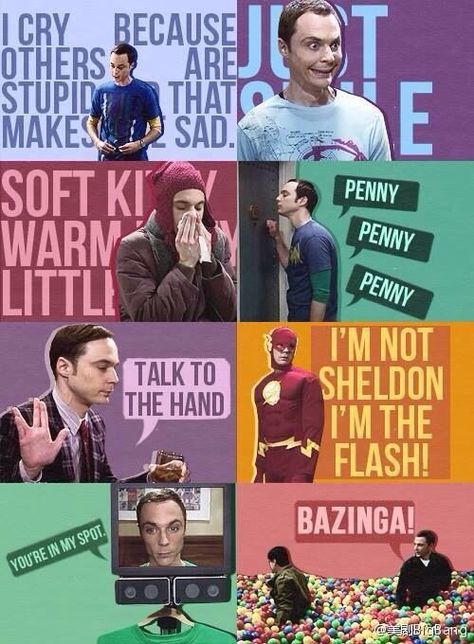 Sheldon Cooper Quotes, Big Bang Theory Memes, Big Bang Theory Quotes, Big Bang Theory Funny, The Big Band Theory, Big Bang Theory Sheldon, The Bigbang Theory, Young Sheldon, Sheldon Cooper