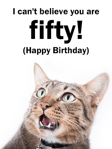 Funny Cat Happy 50th Birthday Card. What?! You're already 50? That's crazy! Getting older is often difficult to handle, but the right Happy Birthday card and celebration can make it easier. Help your loved one feel 50 years young by sending the funny cat and message on this Happy Birthday card. Laughter can make every celebration better, so give your loved one the best birthday ever by sending this birthday card today! Happy 50th Birthday Sister, 50th Birthday Wishes Funny, Happy 50 Birthday Funny, Happy 50 Birthday, Funny 50th Birthday Quotes, 50s Birthday, 50 Years Birthday, 50th Birthday Wishes, 50th Birthday Quotes