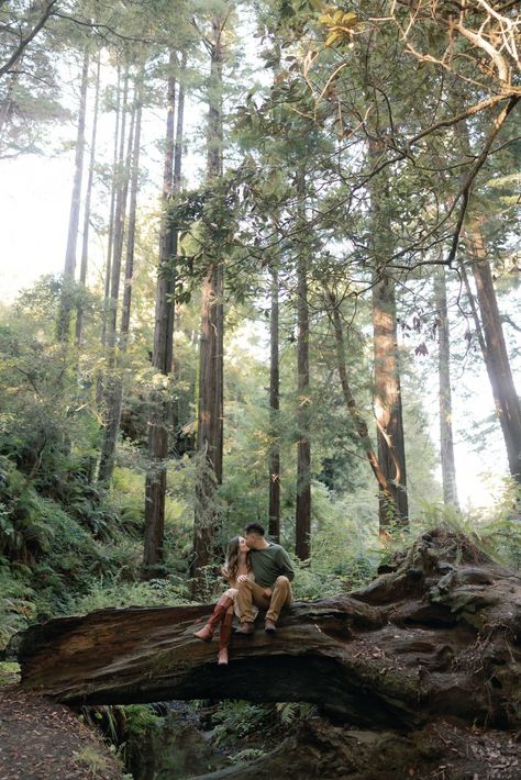 Forest Engagement Shoot Ideas | Adventure Couple Photography | California Photographer | These redwood engagement photos in Mendocino were so romantic and full of outdoor engagement photos ideas! Discover more outdoor engagement photo poses, outdoor engagement photos outfits, outdoor engagement photos outfits fall ideas, and outdoor engagement pictures! Book Bry for your redwood engagement shoot or redwood wedding photography at brysphotography.com! Woodland Engagement Shoot, Engagement Photos Woodsy, Redwoods Engagement Photos, Redwood Engagement Photos, Twilight Engagement Photos, Woodland Engagement Photos, Viking Handfasting, Woods Engagement Pictures, Forest Couple Photoshoot