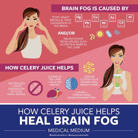 How Celery Juice Helps Heal Brain Fog Anthony William, Medium Blog, Juice Fast, Celery Juice, Medical Medium, Brain Fog, Medical Research, Chronic Fatigue, Health Articles