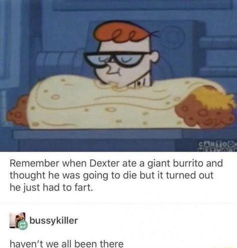 Dexters Laboratory, Witty Memes, Dexter Laboratory, Right In The Childhood, Geek Life, Funny Signs, Dexter, Bones Funny, Popular Memes