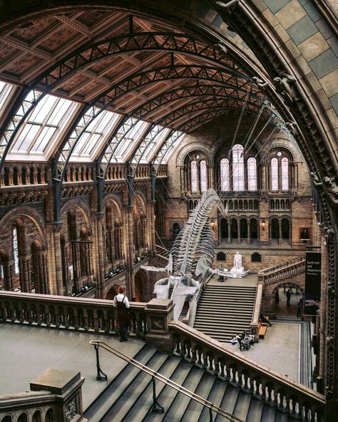 Natural History Museum London, Study In London, London Vibes, London Dreams, A Night At The Opera, London Aesthetic, London Places, Natural History Museum, London Town