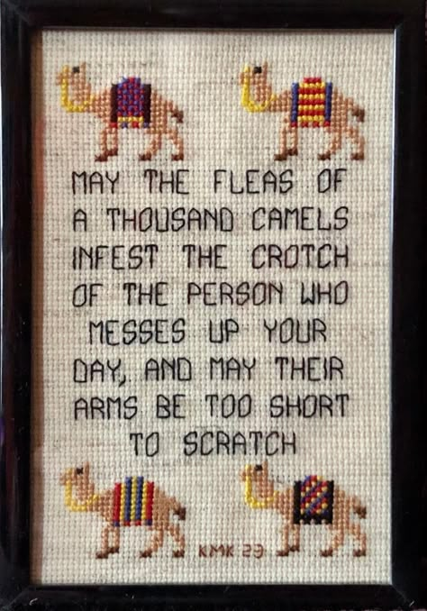 May the fleas of a thousand camels infest the crotch of the person who messes up your day and may their arms be too short to scratch. Having a bad day? This lovely thought might help. Designed for Aida cloth   With Border (55w x 80h stitches):      -14 count: 3.93 x 5.71 in / 9.98 x 14.50 cm      -18 count: 3.06 x 4.44 in / 7.77 x 11.28 cm   With Camels (66w x 94h stitches):      -14 count: 4.71 x 6.71 in / 11.96 x 17.04 cm      -18 count: 3.67 x 5.22 in / 9.32 x 13.26 cm Color and black & white patterns available. May The Fleas Of A Thousand Camels, Sarcastic Cross Stitch Patterns Free, Tarot Cross Stitch Patterns, Fun Cross Stitch, Snarky Cross Stitch, Subversive Cross Stitch Patterns, Funny Cross Stitch, Cross Stitch Quotes, Funny Cross Stitch Patterns