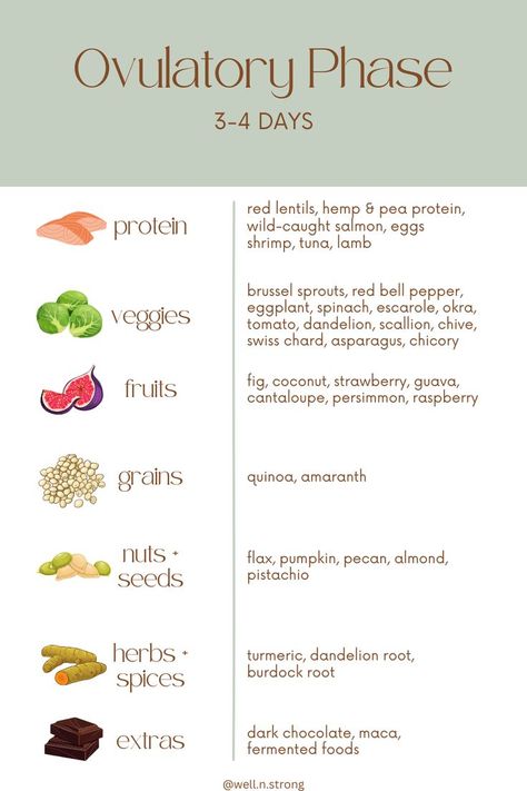 Just a few foods to focus on during your ovulatory phase! Want the whole guide? Click the link! Foods Good For Menstruation, Food By Phases, What To Eat When Ovulating, Period Phases Food, Follicular Phase Fruits, Ovulatory Phase Recipes Vegan, Ovulatory Phase Workout, Ovulatory Phase Snacks, Ovulating Phase Foods