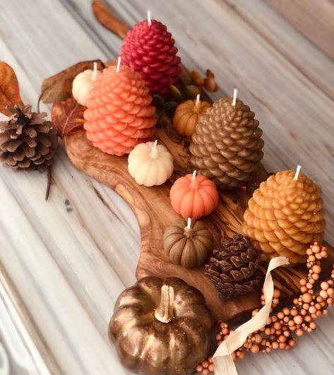 Fall Candles Autumn Candle Pine Cone Candle Pumpkin Candle Thanksgiving Candle Fall Autumn - Etsy Tropic Ambassador, Cozy Scents, Thanksgiving Candle, Candles Autumn, Trendy Candle, Autumn Candles, Thanksgiving Candles, Succulents Candles, Candle Plant