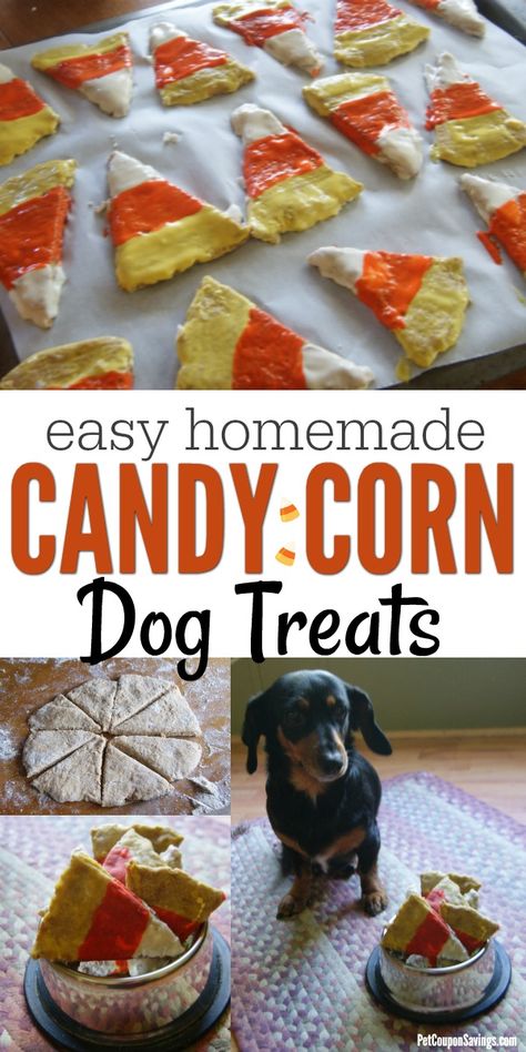 Candy Corn Dog Treats, Dog Treats Homemade Halloween, Halloween For Dogs, Halloween Dog Treats Recipes, Halloween Treats For The Office, Dog Halloween Treats, Fall Dog Treats, Candy Corn Dog, Halloween Dog Treats