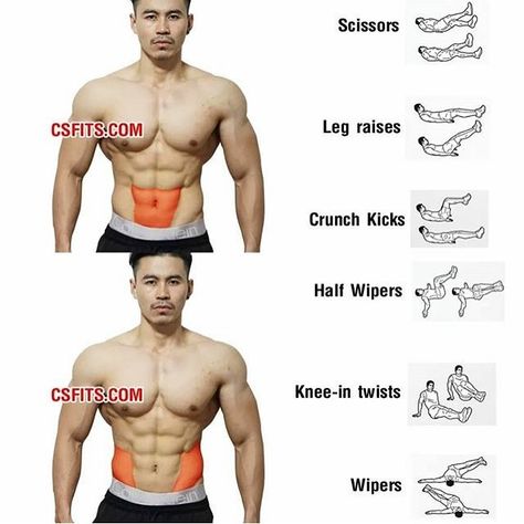 925 vind-ik-leuks, 33 reacties - Gain Tips® (@gaintips) op Instagram: 'These exercises are for your abs! 💪🏻 ⛔️Like and save this picture,More gym tips?Follow me❤️🏋🏻 - - -…' Ripped Abs Workout, Ripped Abs, Gym Tips, Abs Workout Routines, Trening Fitness, Abdominal Exercises, Workout Chart, Lower Abs, Trening Abs