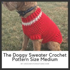 Crochet Dog Sweater Free Pattern, Sweater Free Pattern, Crochet Braid Pattern, Large Dog Sweaters, Crochet Dog Clothes, Dog Sweater Crochet Pattern, Dog Sweater Pattern, Small Dog Sweaters, Crochet Dog Sweater