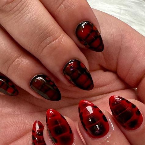 Margo on Instagram: "See ya later, alligator ❤️ #gelnails #hardgel #biabnails #summernails #trendingnails #grandjunctionnails #grandjunctionnailsalon" Red Black Crocodile Nails, Black And Red Croc Nails, Red Alligator Nails, Alligator Nails Designs, Red Crocodile Nails, Red Croc Nails, Alligator Nails, Gator Nails, Crocodile Nails