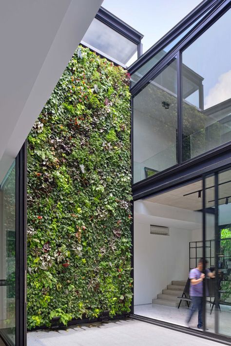 Incredible two storey green wall! This oversized vertical garden shows how it's done! Foto Scale, Rumah Moden, Vertical Garden Design, Internal Courtyard, Casa Patio, Green Architecture, Patio Interior, Hus Inspiration, Wall Garden