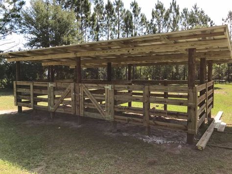 Front view 2 breezy outdoor 12' horse stalls. Allbritton's Outdoor Solutions, Inc in Geneva, FL Outdoor Stalls For Horses, Outdoor Horse Stalls, Horse Corral Ideas, Horse Stall Ideas Cheap, Stalls Ideas, Horse Barn Ideas, Small Horse Barns, Horse Shed, Livestock Shelter