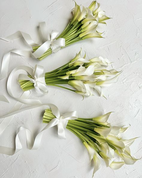 Simple, modern, white, trailing ribbons. Nothing better 👌🏼 Bridal Party Flowers Wedding Bouquets, Modern White Flowers Wedding, Long Ribbon Bouquet, Single Stem Bridal Bouquet, Long Stem Bridesmaid Bouquet, Modern Bridal Bouquet Simple, Simple White Bridal Bouquet, Small White Bridesmaid Bouquet, Mini Bridesmaid Bouquet