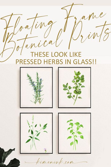 Glass Mounted Botanical Prints DIY - Watercolor Herbs, Herb Art, Framed Botanical Prints, Herb Prints, Herb Wall, Floating Frames, Digital Art Printables, Herb Garden, Fresh Herbs